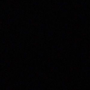 Meet your Posher, Wesley